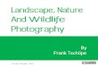 Landscape, Nature and Wildlife Photography by Frank Tschöpe