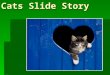 135-Cats Slide Story