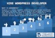 Hire wordpress developer--Wordpress Programmers India