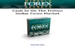 Newbies Forex Trading Secrets