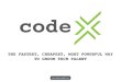 Project codeX: Partner with Africa's agile developer apprenticeship program