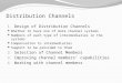 Sales Force Distribution Channel