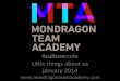 Litlle thing about MTA january 2014 #culturecode