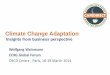 Climate finance weinmann (cafédirect)adaptation business perspective insights-ccxg gf march2014