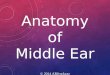 Anatomy of Middle Ear