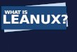 What is lean ux