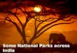 National parks in india aj