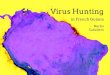 Virus Hunting in French Guiana