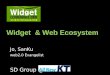 Widget and Web Ecosystem - Updated