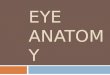 Sign&;Symptom and Anatomy of Eye
