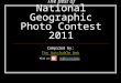 Best of Nat Geo Photo Contest 2011