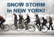 Snow Storm in New York & A Bike Ride