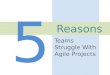 Five Reasons Teams Struggle with Agile Projects