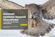 Intranet systems beyond SharePoint