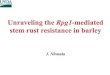 Unraveling the Rpg1-mediated Stem Rust Resistance in Barley