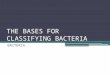 The bases for classifying bacteria