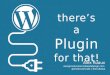 There's a Plugin for that - WordCamp Ottawa