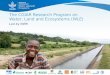 The cgiar research program on water, land and ecosystems (wle)