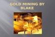 Blake gold mining