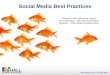 Social Media Best Practices for Credit Unions