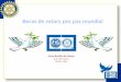 Becas Pro Paz de Rotary International