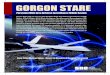 Gorgon stare persistent wide area airborne surveilance waas system
