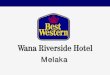 All About Best Western Wana Riverside Hotel