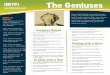 Genius Personality Test Report