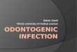 Odontogenic Infection Dentist6