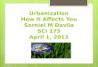 SCI 275 Week 4 Assignment Urbanization