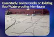 Remedial Rooftop Waterproofing Systems
