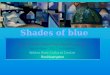 Shades of blue art exhibition