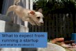 What to expect from running a startup
