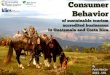 Consumer Behavior  of sustainable tourism accredited businesses in Guatemala