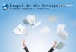 Drupal in the Enterprise: A System Integrator's Perspective - Presented by Tony Rems of ThoughtMatrix
