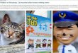 598 - Cats in Taiwan