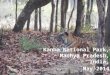 On a tiger trail, Kanha National Park, India