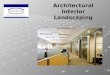 Architectural Interior Landscaping