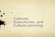 Cultures, Subcultures, and Culture Jamming