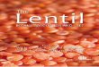 The lentil -  botany, production and uses