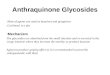 Pharmacognosy Lecture # 2 (Anthraquinone Glycosides) [By, Sir Tanveer Khan]
