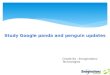 What is google's panda & penguin update