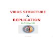 Virus structure and replication