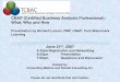 CBAP (Certified Business Analysis Professional): What, Why 