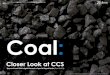[Smart Grid Market Research] Coal: Closer Look at CCS (Part 3 of 3), May 2012