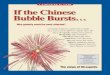 If The China Bubble Bursts: A Symposium of Views
