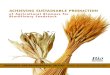 Sustainable Biomass Report   Achieving Sustainable Production