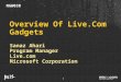 Overview of Live.com Gadgets