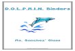 Dolphin Binders