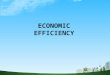 Economic efficiency ppt @ bec doms